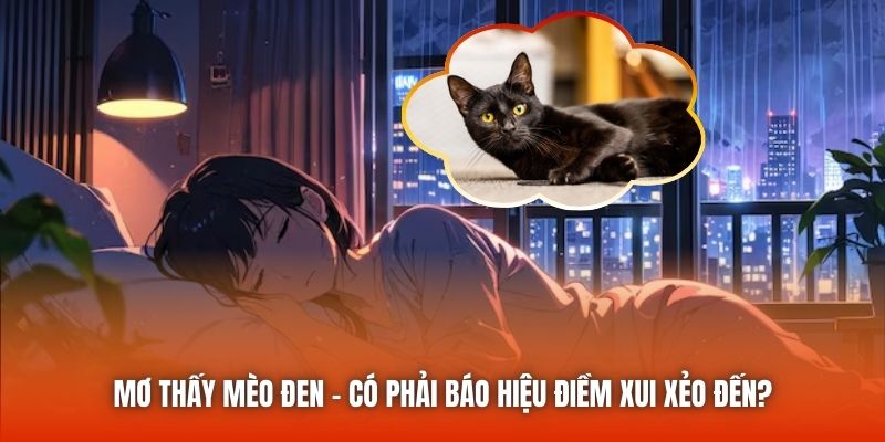 Mơ Thấy Mèo Đen - Có Phải Báo Hiệu Điềm Xui Xẻo Đến?