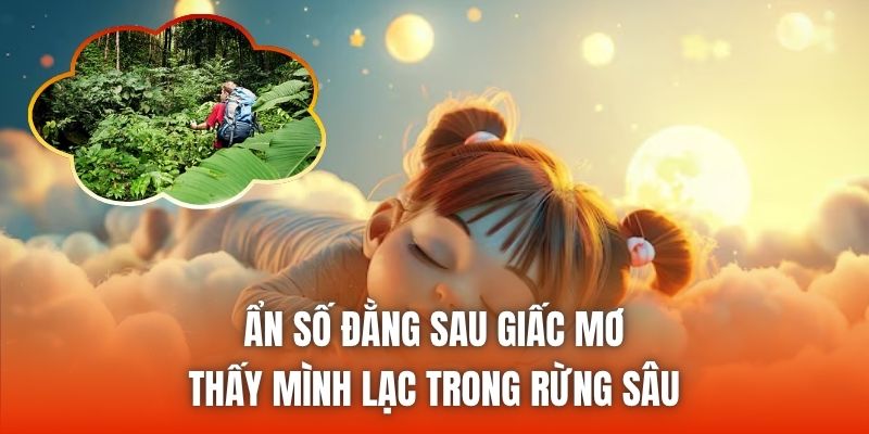 Ẩn số đằng sau giấc mơ thấy mình lạc trong rừng sâu